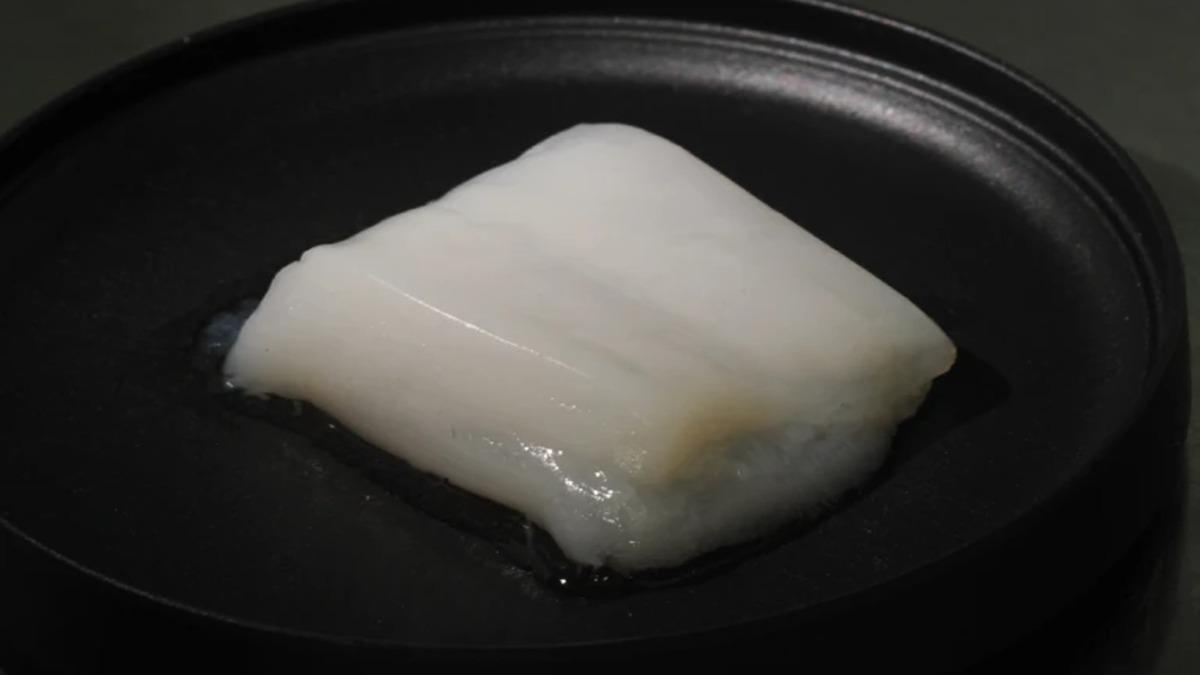 Revolução Alimentar: Cientistas Japoneses Criam Maior "Nugget" de Frango Laboratorial com Sistema Inovador